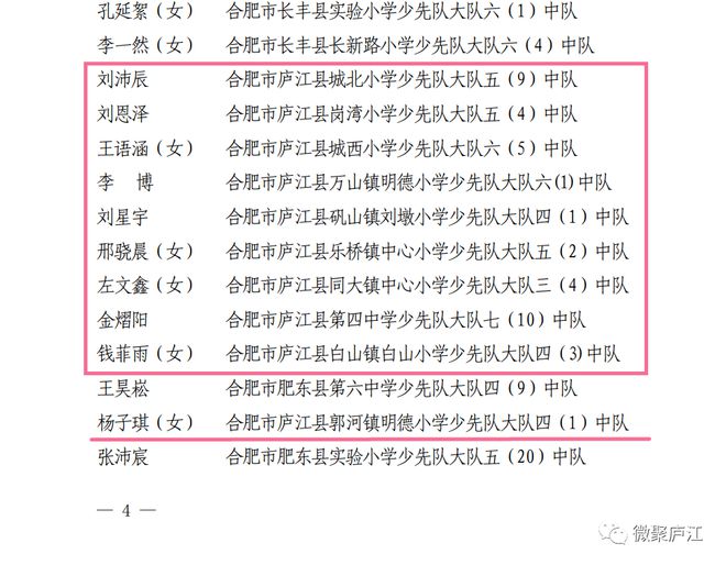 庐江人社局发布新政，优化服务，提升民生福祉最新公告