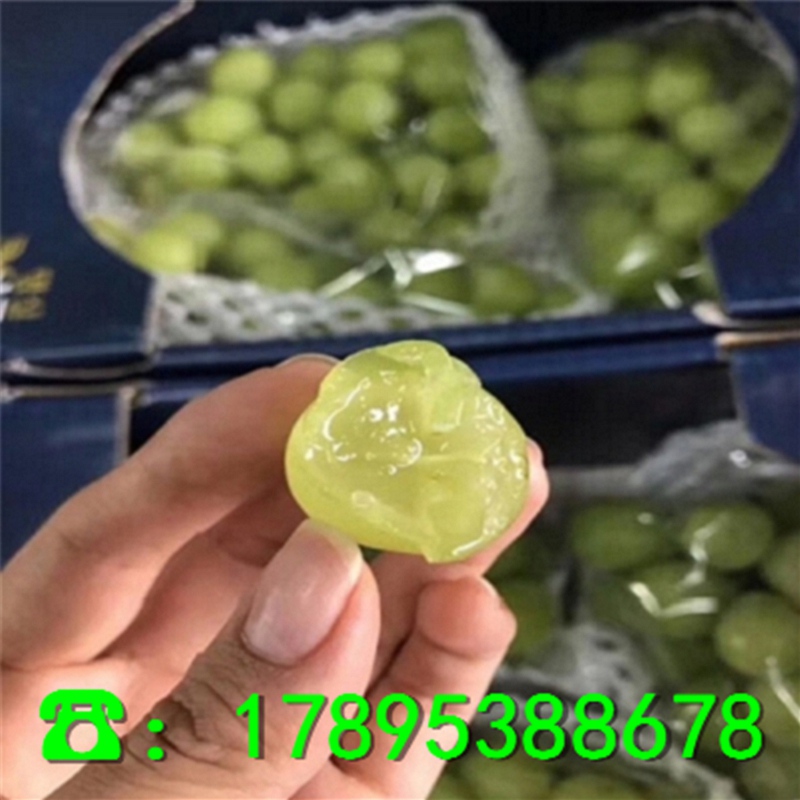 星星打烊