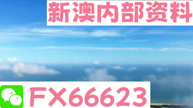 新澳2024今晚开奖资料,专业分析说明_冒险款33.40.65