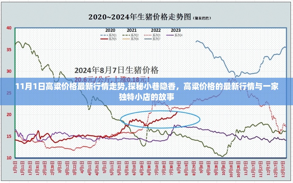 2024年11月1日 第54页