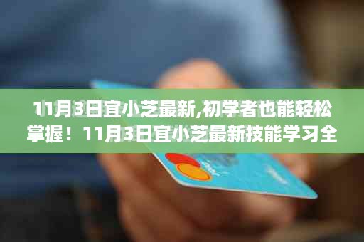 2024年11月3日 第14页