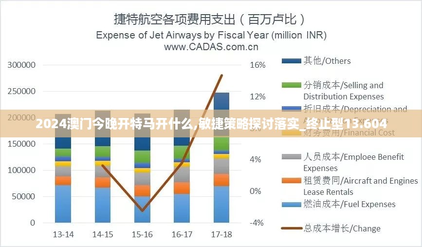 2024澳门今晚开特马开什么,敏捷策略探讨落实_终止型13.604