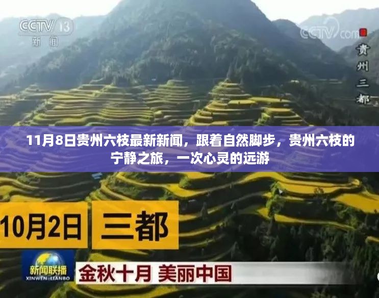 贵州六枝最新新闻，自然之旅的心灵远游，宁静之旅启程于11月8日