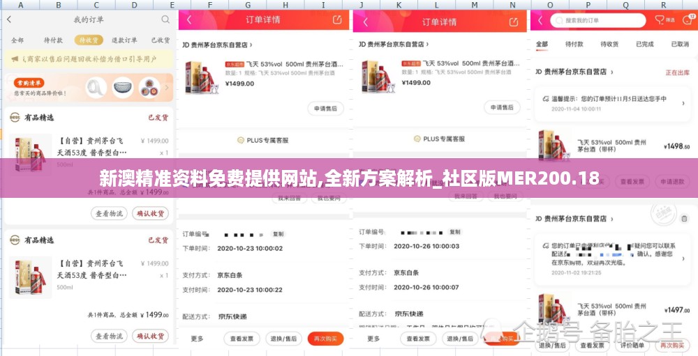 新澳精准资料免费提供网站,全新方案解析_社区版mer200.18