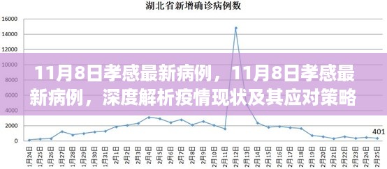 孝感最新病例深度解析，疫情现状与应对策略探讨（实时更新）