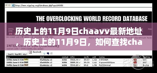 历史上的11月9日chaavv最新地址探索及详细查找指南（含犯罪风险警示）